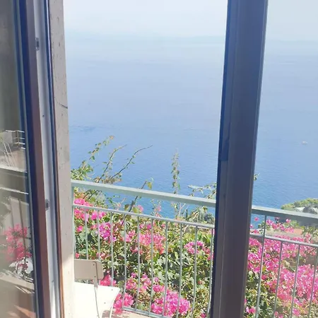 Grace Seaview *
