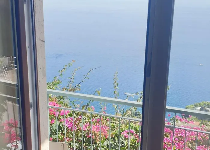 Grace Seaview *