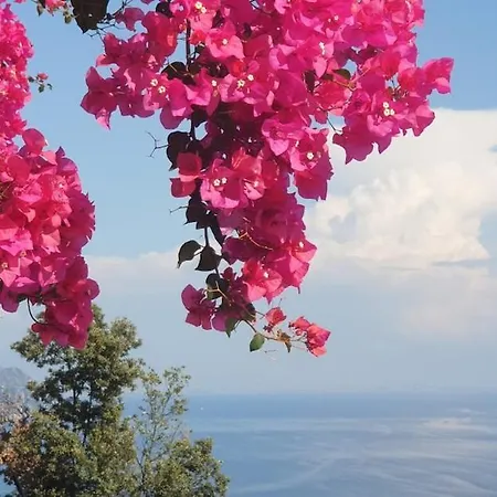 Apartamento Grace Seaview